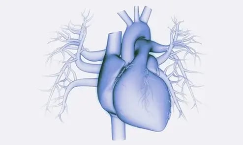 Photo of a heart